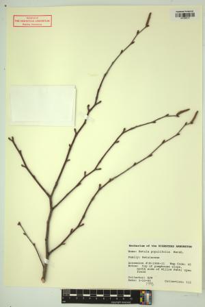 98385-Service File.jpg