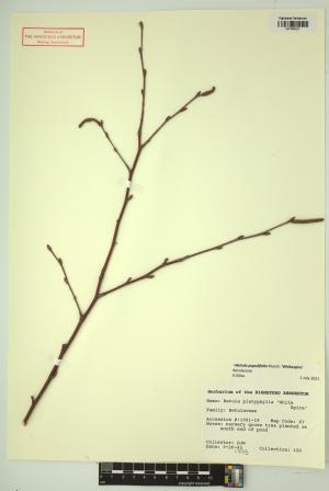 98392-Service File.jpg