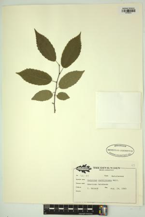 98399-Service File.jpg