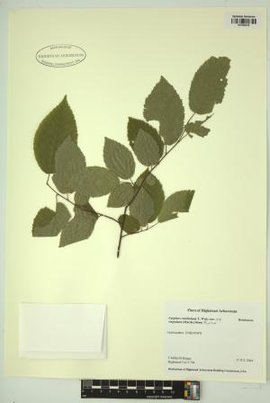 98403-Service File.jpg