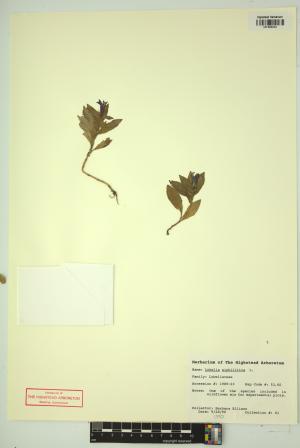 98427-Service File.jpg