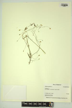 98443-Service File.jpg