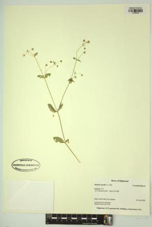 98444-Service File.jpg