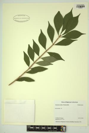 98449-Service File.jpg