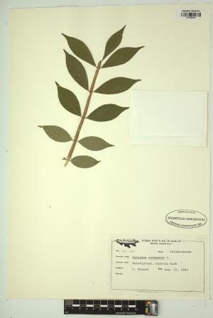 98451-Service File.jpg