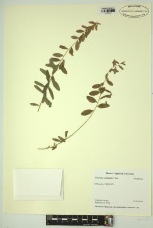 98458-Service File.jpg