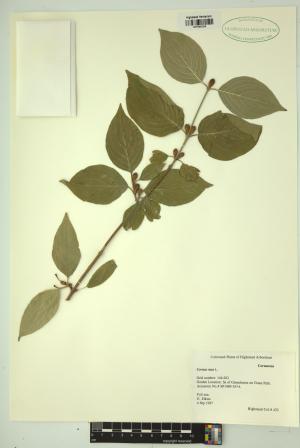 98462-Service File.jpg