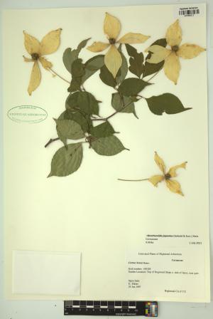 98474-Service File.jpg