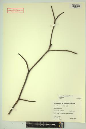 98481-Service File.jpg