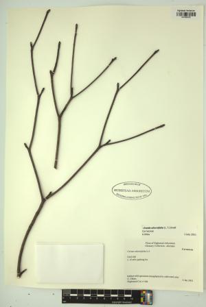 98482-Service File.jpg