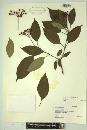98488-Service File.jpg