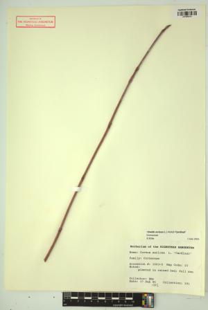 98495-Service File.jpg