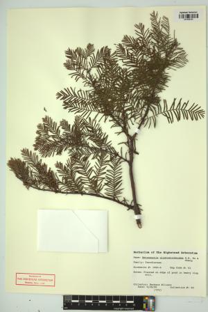 98506-Service File.jpg