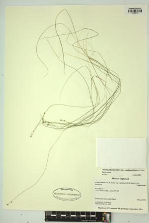 98523-Service File.jpg