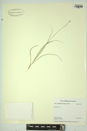 98528-Service File.jpg