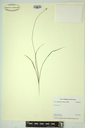 98529-Service File.jpg