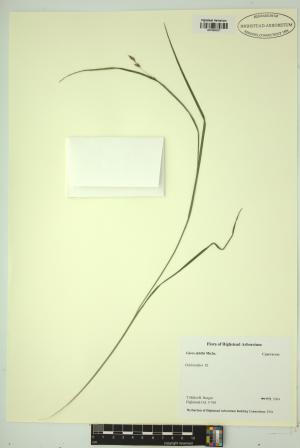 98534-Service File.jpg