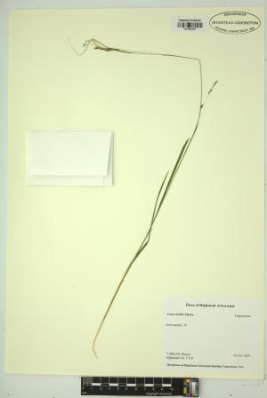 98535-Service File.jpg