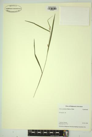 98546-Service File.jpg
