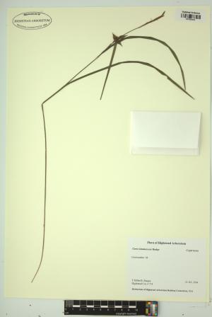 98551-Service File.jpg
