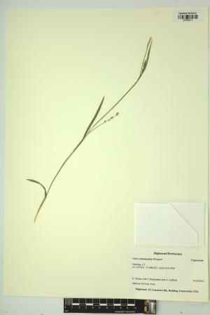 98562-Service File.jpg