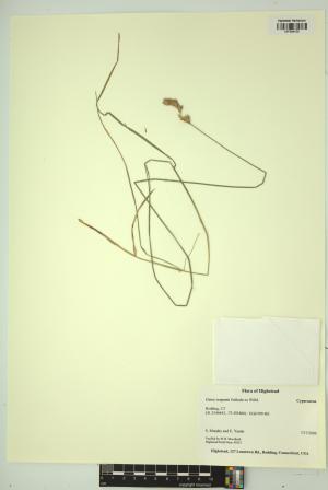 98576-Service File.jpg