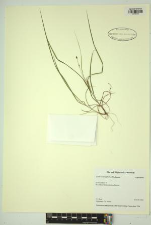 98582-Service File.jpg