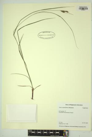 98583-Service File.jpg