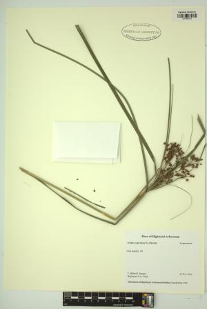 98593-Service File.jpg