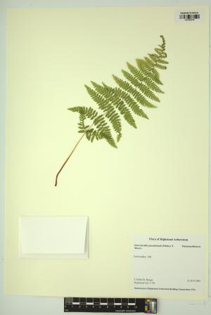 98597-Service File.jpg