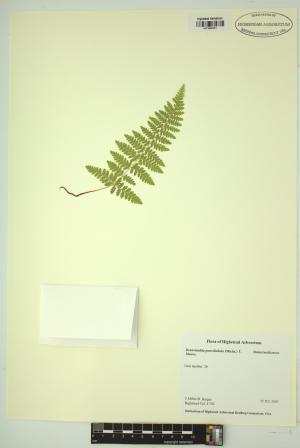 98598-Service File.jpg
