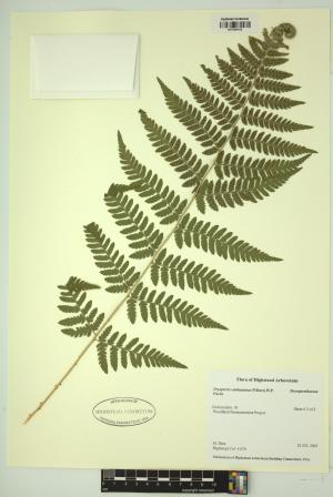98603-Service File.jpg