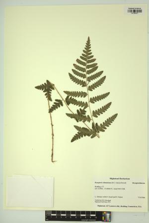 98604-Service File.jpg