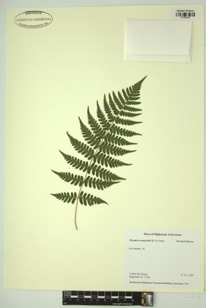 98607-Service File.jpg