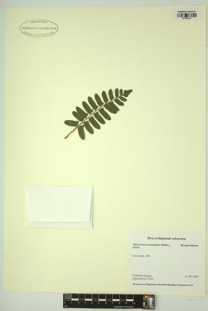98614-Service File.jpg