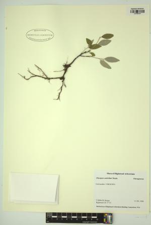 98616-Service File.jpg