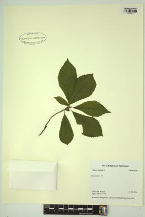 98620-Service File.jpg