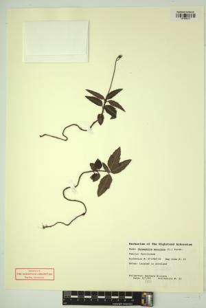 98623-Service File.jpg