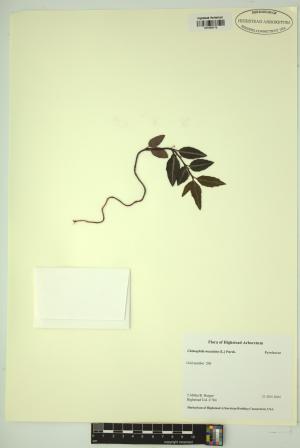 98625-Service File.jpg
