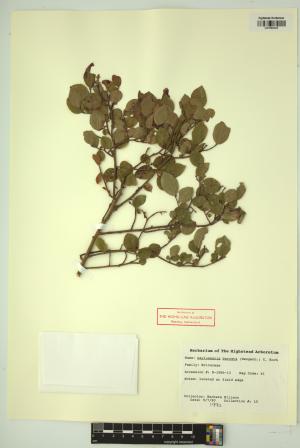 98630-Service File.jpg
