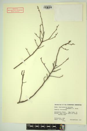 98632-Service File.jpg