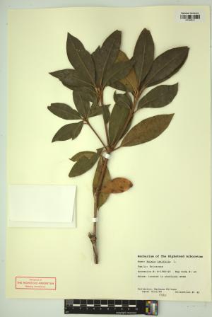 98651-Service File.jpg