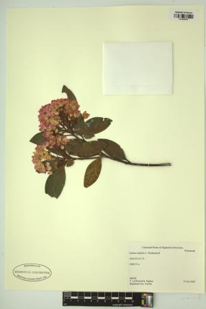 98658-Service File.jpg