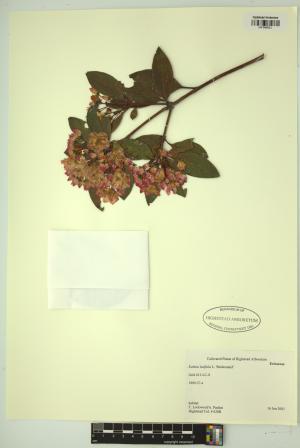 98659-Service File.jpg