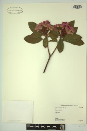 98662-Service File.jpg