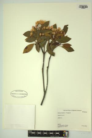 98666-Service File.jpg