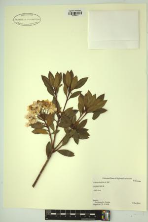 98669-Service File.jpg