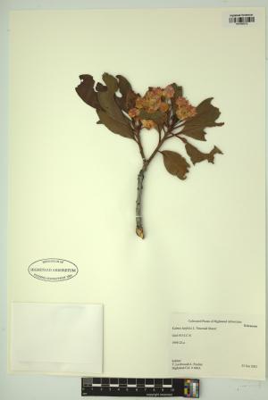 98670-Service File.jpg