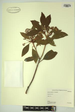 98674-Service File.jpg
