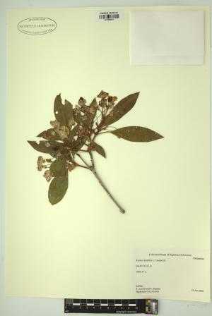 98675-Service File.jpg